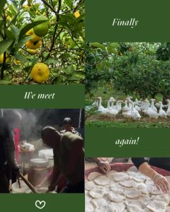 “朝拜”經(jīng)樓的別樣畫卷
